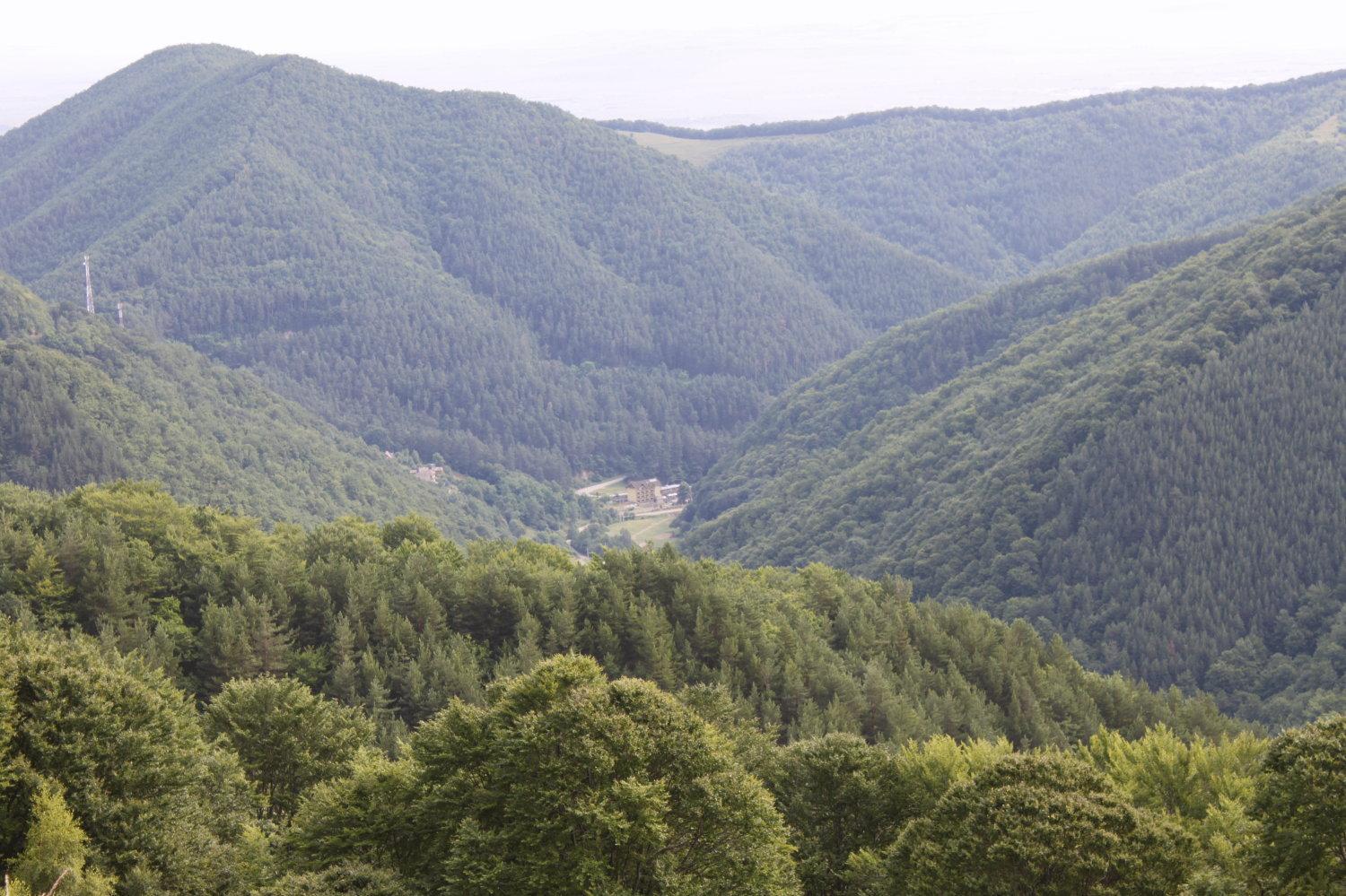 Pension Curmatura Stezii Răşinari エクステリア 写真