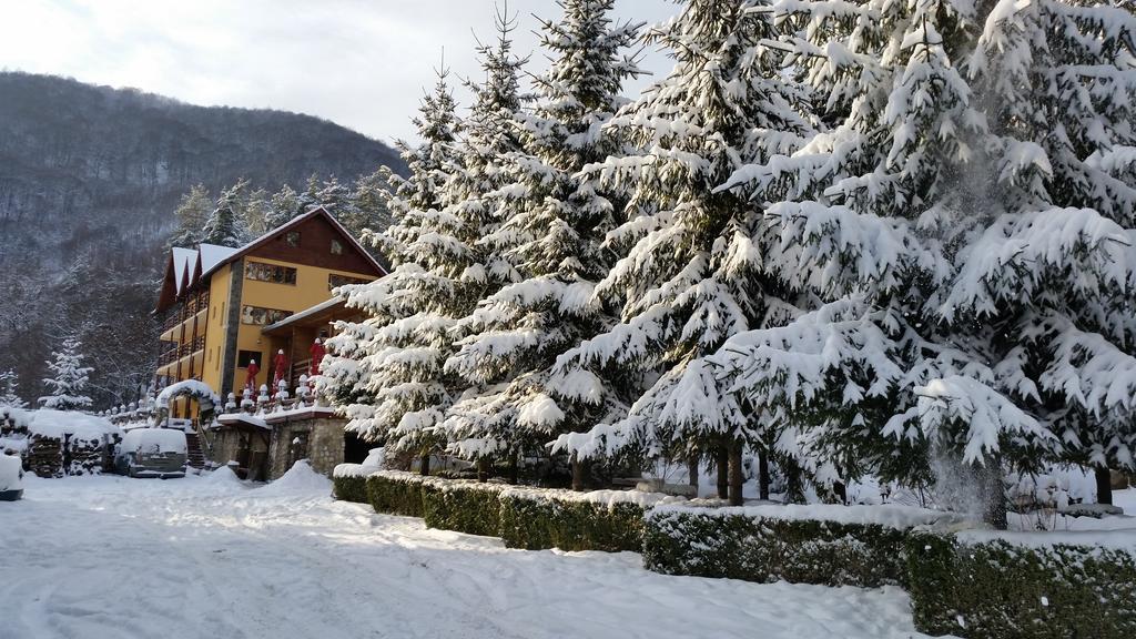 Pension Curmatura Stezii Răşinari エクステリア 写真