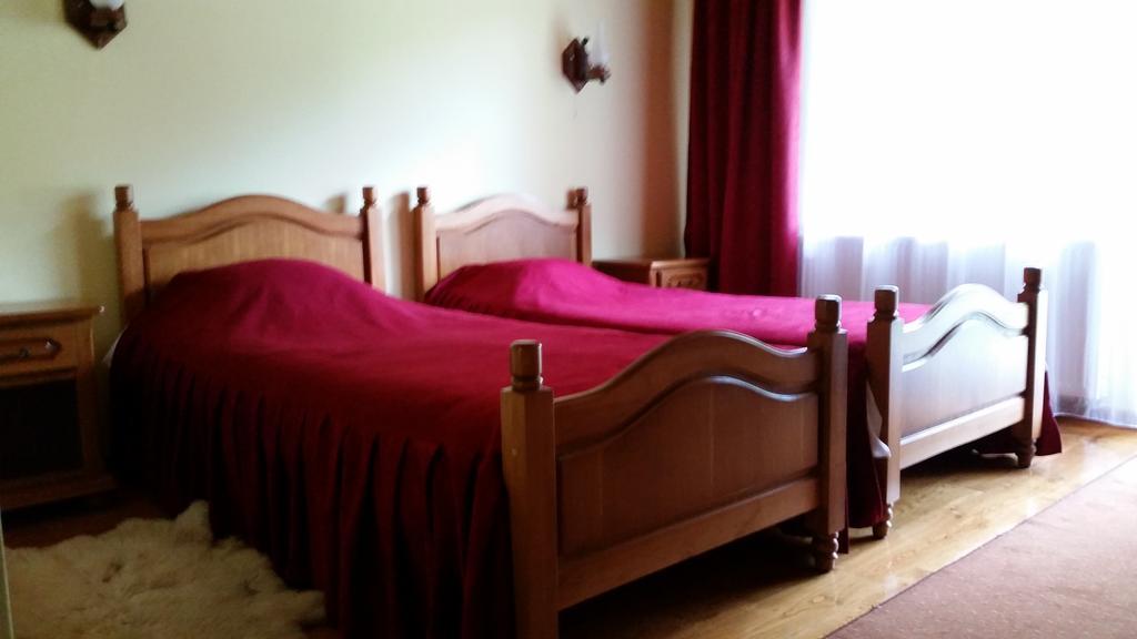 Pension Curmatura Stezii Răşinari エクステリア 写真