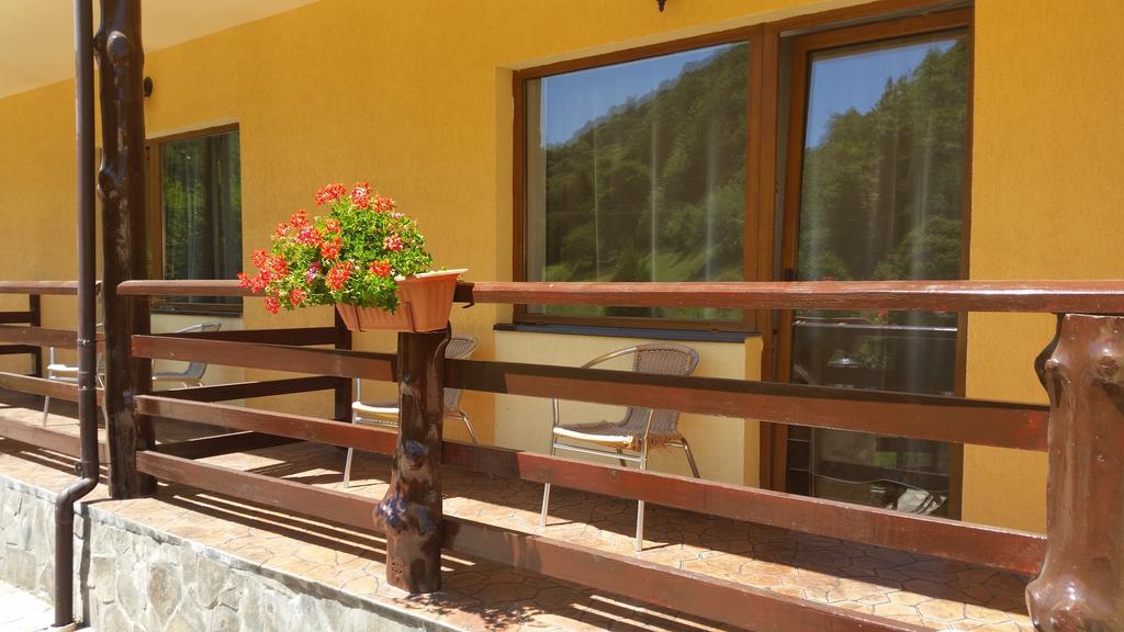 Pension Curmatura Stezii Răşinari エクステリア 写真