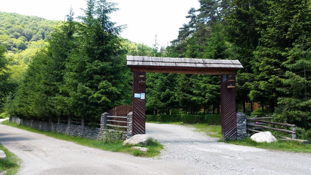 Pension Curmatura Stezii Răşinari エクステリア 写真