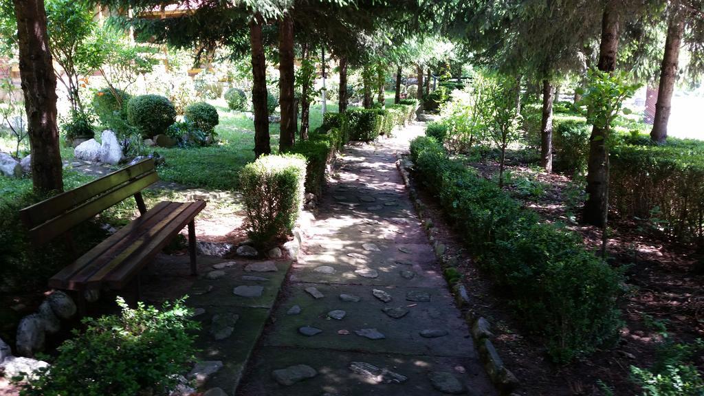 Pension Curmatura Stezii Răşinari エクステリア 写真