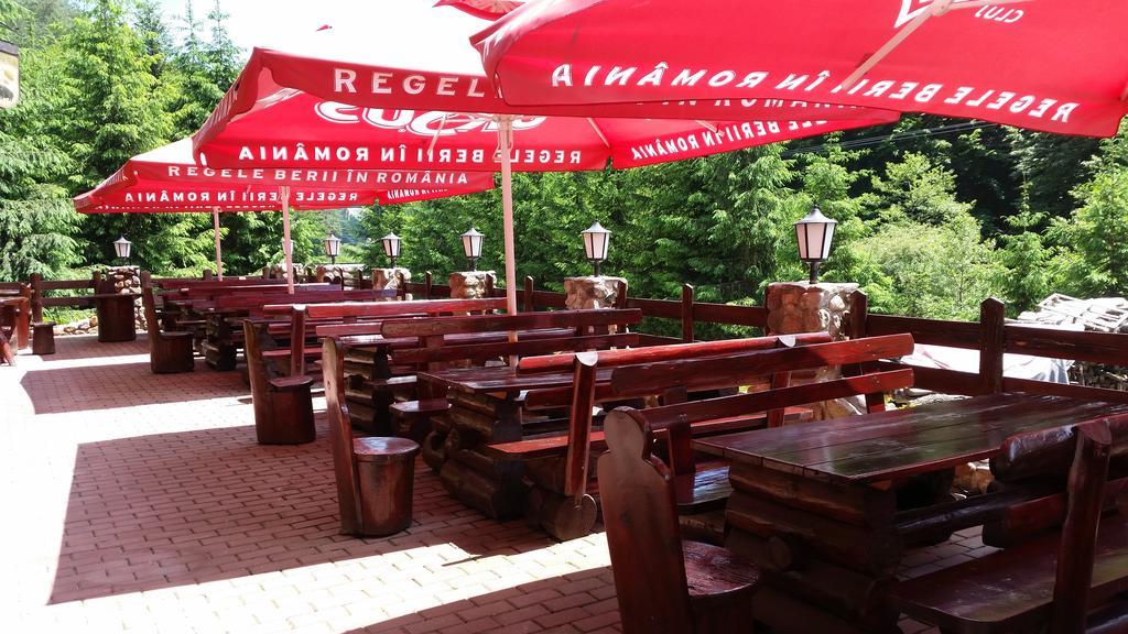 Pension Curmatura Stezii Răşinari エクステリア 写真