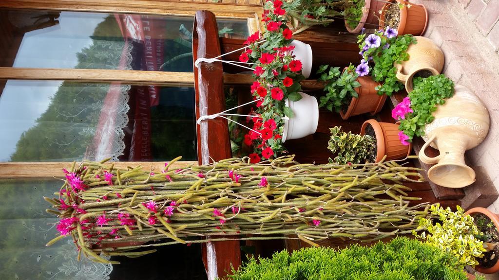 Pension Curmatura Stezii Răşinari エクステリア 写真